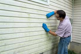 Best Vinyl Siding Installation  in Camp Barrett, VA